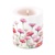 PAINTED BELLIS, Ambiente