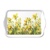  GOLDEN DAFFODILS, Ambiente