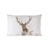 18x30 ANTLERS, Ambiente