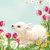 LAMB ON FLOWER MEADOW, Maki