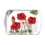 BLOOMING AMARYLLIS white 13x21, Ambiente